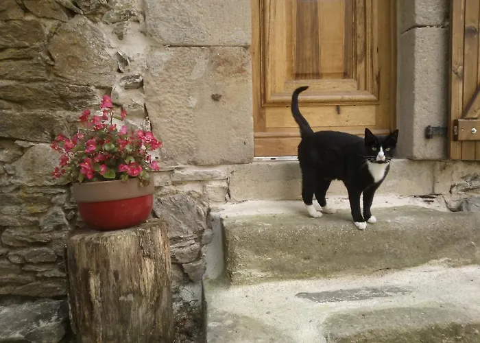 Domaine D'angel-berg 게스트하우스 3*