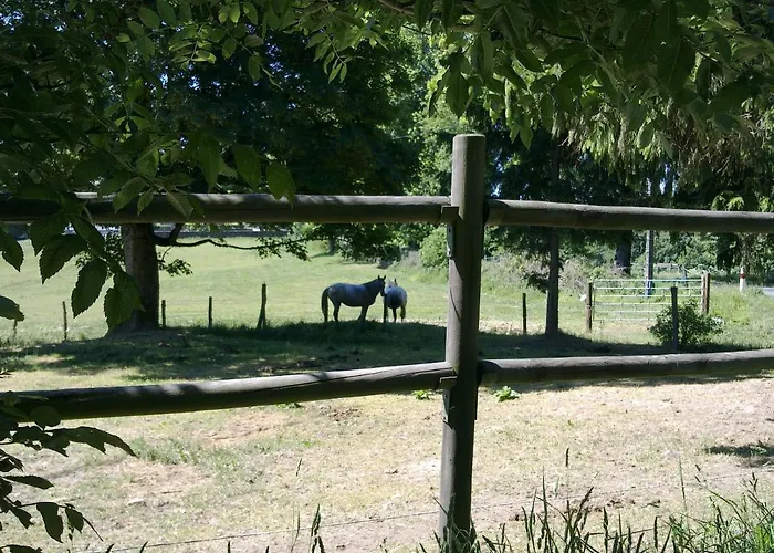 게스트하우스 Domaine D'angel-berg 3*