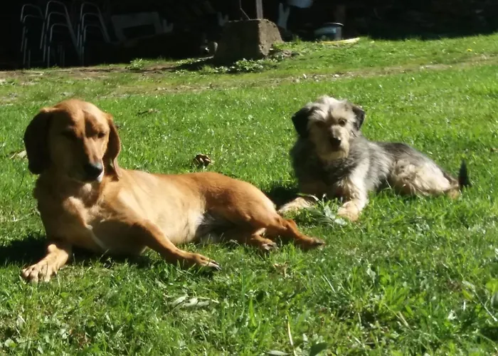 Domaine D'angel-berg 게스트하우스 3*