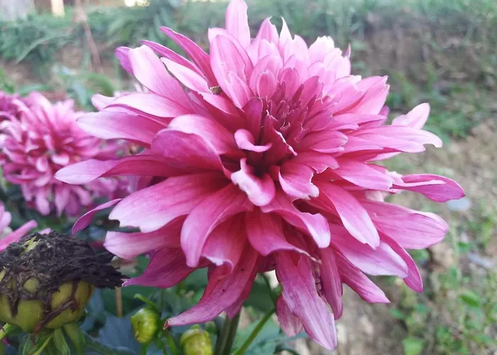 Domaine D'angel-berg