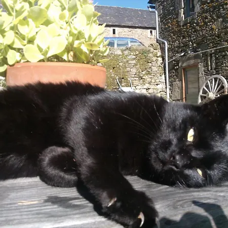 Affittacamere Domaine D'angel-berg