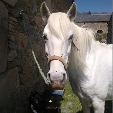 Domaine D'angel-berg 3* Vezins-de-Levezou
