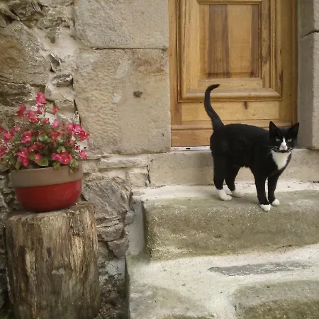 Domaine D'angel-berg Maison d'hôtes 3*