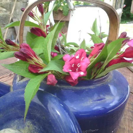 Domaine D'angel-berg Vezins-de-Levezou