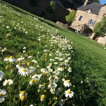 Maison d'hôtes Domaine D'angel-berg Vezins-de-Levezou