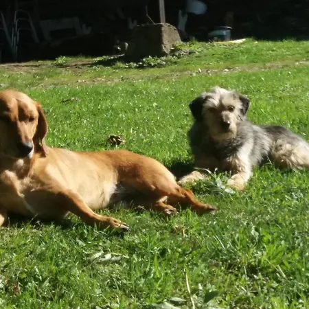 Domaine D'angel-berg בית הארחה 3*