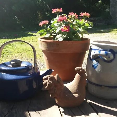 Affittacamere Domaine D'angel-berg Vezins-de-Levezou