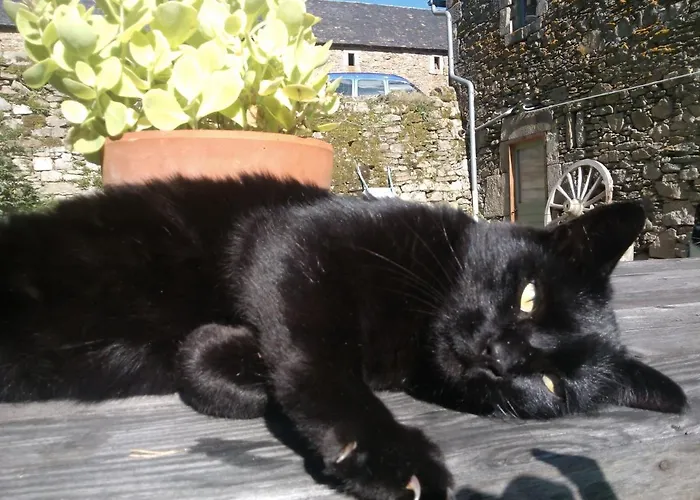 Πανσιόν Domaine D'angel-berg