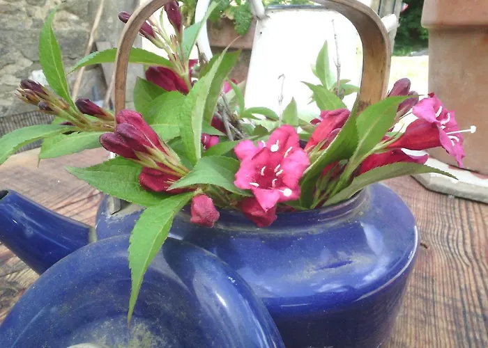 Domaine D'angel-berg Vezins-de-Levezou